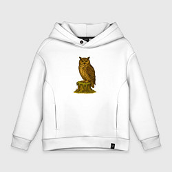Детское худи оверсайз Сказочная сова