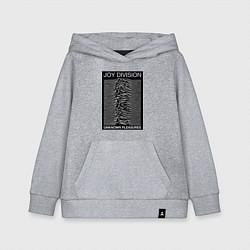 Толстовка детская хлопковая Joy Division: Unknown Pleasures, цвет: меланж