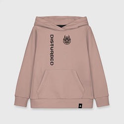 Детская толстовка-худи DISTURBED