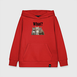 Детская толстовка-худи Удивленные кошки