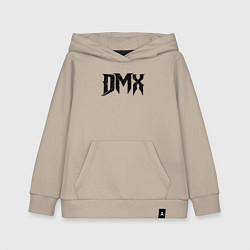 Детская толстовка-худи DMX Logo Z