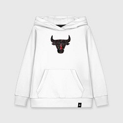Детская толстовка-худи Bulls - Jordan