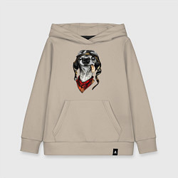 Детская толстовка-худи Biker dog