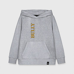 Детская толстовка-худи Bully Лого по вертикали
