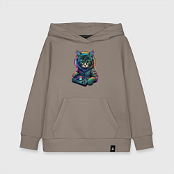 Детская толстовка-худи Кот диджей