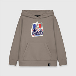 Детская толстовка-худи Vive la France