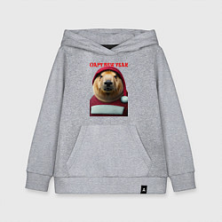 Толстовка детская хлопковая Capy new year, цвет: меланж