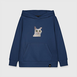 Детская толстовка-худи Pixel cat