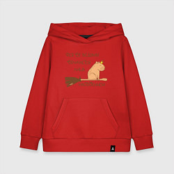 Толстовка детская хлопковая Мем капибара на метле: фея и ведьма, цвет: красный