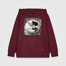 Толстовка детская хлопковая Два любящих котика обнимаются клубочком, цвет: меланж-бордовый