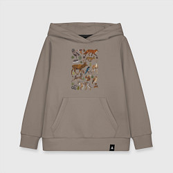 Детская толстовка-худи Лесные животные и птицы