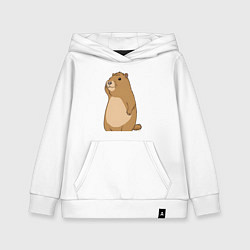 Детская толстовка-худи Прекрасная капибара