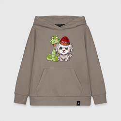 Детская толстовка-худи Змеиный новый год 2025