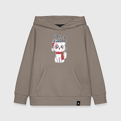 Детская толстовка-худи Christmas Cat