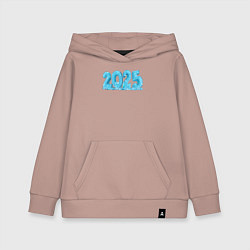 Детская толстовка-худи Ice 2025