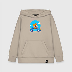 Детская толстовка-худи Котик водитель