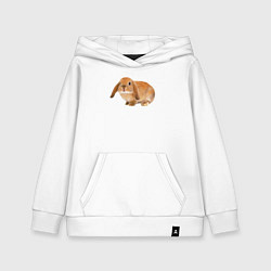 Детская толстовка-худи Рыжий пушистый кролик