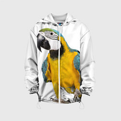 Куртка с капюшоном детская Попугай ара, цвет: 3D-белый