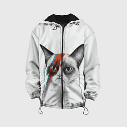 Куртка с капюшоном детская David Bowie: Grumpy cat, цвет: 3D-черный