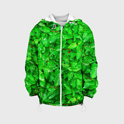 Детская куртка Зелёные листья - текстура
