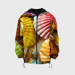 Куртка с капюшоном детская Разноцветные створки океанских раковин, цвет: 3D-черный