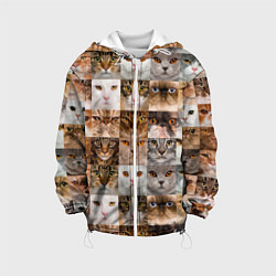 Детская куртка Pedigreed cats