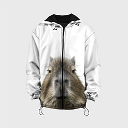 Куртка с капюшоном детская Капибара пофигист, цвет: 3D-черный