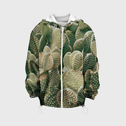 Куртка с капюшоном детская Поле кактусов, цвет: 3D-белый