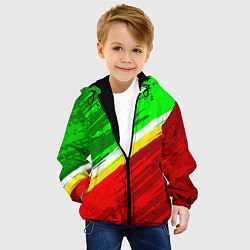 Куртка с капюшоном детская Расцветка Зеленоградского флага, цвет: 3D-черный — фото 2