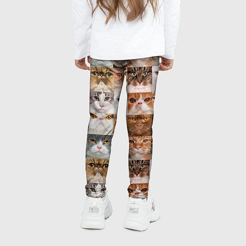 Детские легинсы Pedigreed cats / 3D-принт – фото 4