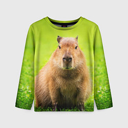 Лонгслив детский Capybara on green grass, цвет: 3D-принт
