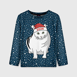 Лонгслив детский Кот мем - 2026, цвет: 3D-принт
