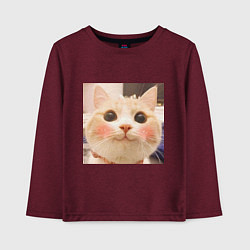 Лонгслив хлопковый детский Мем про котов, цвет: меланж-бордовый