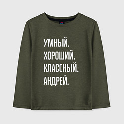 Лонгслив хлопковый детский Умный хороший классный Андрей, цвет: меланж-хаки