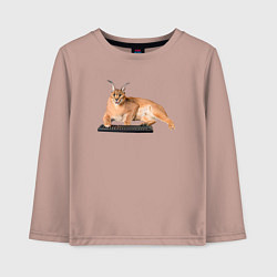 Лонгслив хлопковый детский Большой кот Шлепа с клавиатурой, цвет: пыльно-розовый