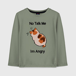 Детский лонгслив Обиженный котик - not talk to me am angry