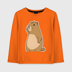 Детский лонгслив Прекрасная капибара
