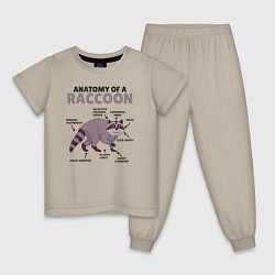 Пижама хлопковая детская Анатомия енота, цвет: миндальный