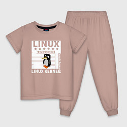 Пижама хлопковая детская Пингвин программист системы линукс, цвет: пыльно-розовый