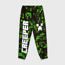 Брюки детские MINECRAFT CREEPER, цвет: 3D-принт