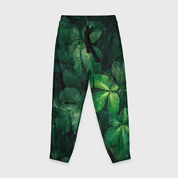 Детские брюки Тропическая листва Тропики Z