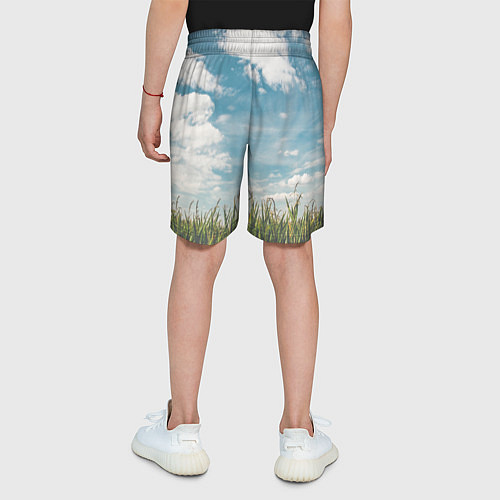 Детские шорты Небушко и полюшко / 3D-принт – фото 4