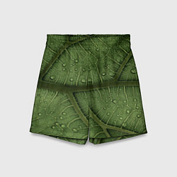 Шорты детские Текстура зелёной листы, цвет: 3D-принт