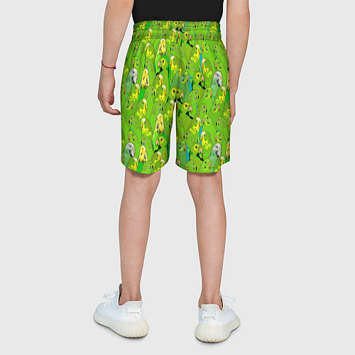 Детские шорты Зеленые волнистые попугайчики / 3D-принт – фото 4