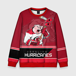 Свитшот детский Carolina Hurricanes, цвет: 3D-красный