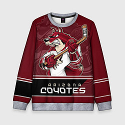 Свитшот детский Arizona Coyotes, цвет: 3D-меланж