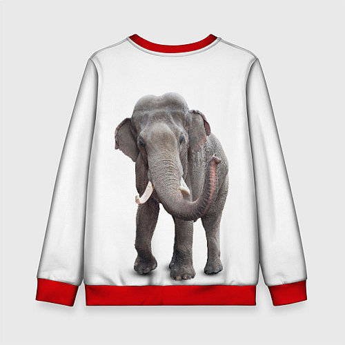 Детский свитшот Большой слон / 3D-Красный – фото 2