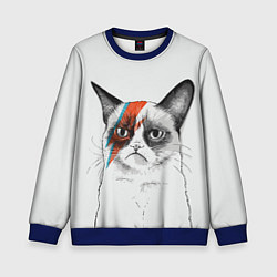 Свитшот детский David Bowie: Grumpy cat, цвет: 3D-синий