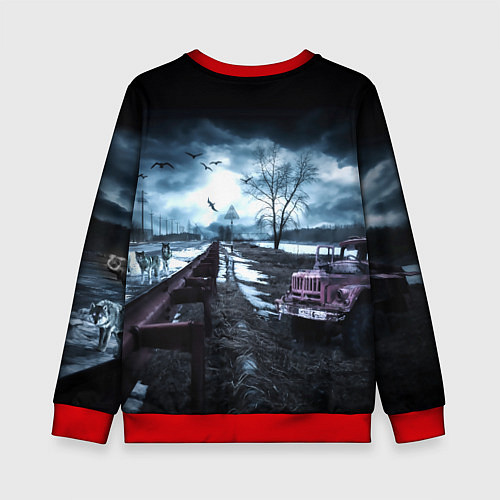 Детский свитшот S.T.A.L.K.E.R: Тёма / 3D-Красный – фото 2