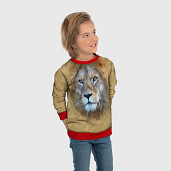 Свитшот детский Песчаный лев, цвет: 3D-красный — фото 2